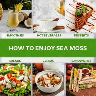 Apple Cinnamon Sea Moss Gel - Wildcrafted.