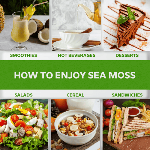 Apple Cinnamon Sea Moss Gel - Wildcrafted