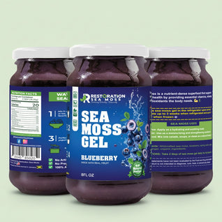 Blueberry Sea Moss Gel - Wildcrafted Irish Moss