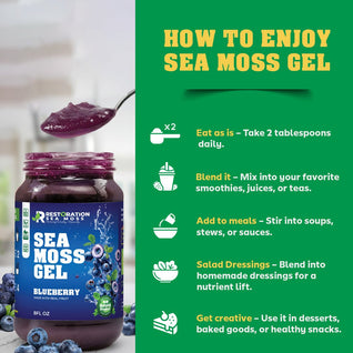 Blueberry Sea Moss Gel - Wildcrafted Irish Moss
