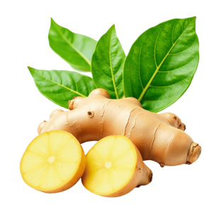 🌿 Ginger