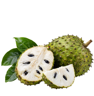 🌿 Soursop – Tropical Wellness Boost
