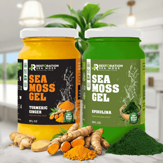 All-Day Energy & Focus Support Bundle