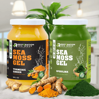 All-Day Energy & Focus Support Bundle