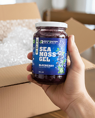 Blueberry Sea Moss Gel - Wildcrafted Irish Moss - Restoration Sea Moss