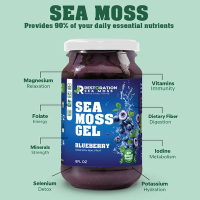 Blueberry Sea Moss Gel - Wildcrafted Irish Moss - Restoration Sea Moss