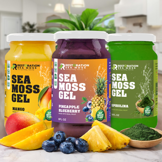 Calm & Nervous System Support Bundle