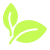 ORGANIC INGREDIENTS
