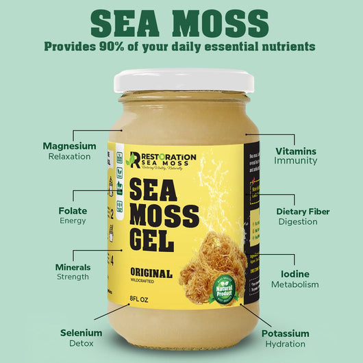 Original Sea Moss Gel - Wildcrafted sea moss - Restoration Sea Moss