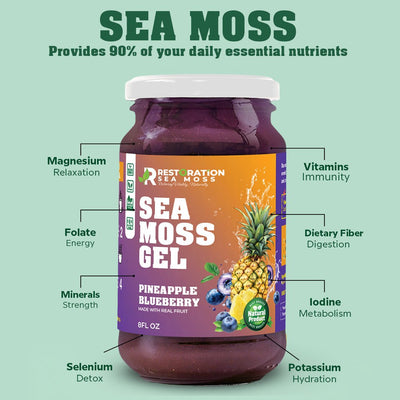 Pineapple Blueberry Sea Moss Gel - Restoration Sea Moss