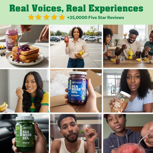 Tropical Fusion Sea Moss Gel Pack - Restoration Sea Moss