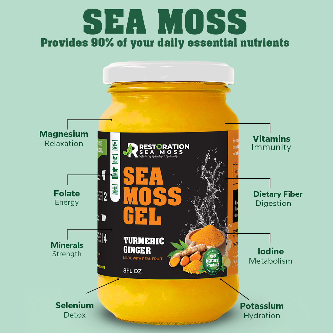 Turmeric Ginger Sea Moss Gel – Wildcrafted, Vegan – Restoration